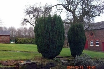 پانسیون Ash Farm Country House
