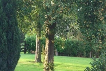 پانسیون Ash Farm Country House