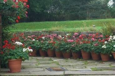 پانسیون Ash Farm Country House