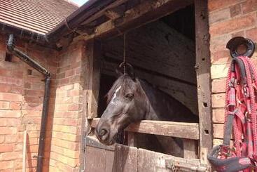 پانسیون Church Farm Accommodation