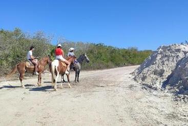 Valentina Holbox