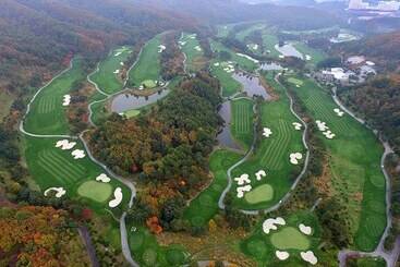 هتل Phoenix Resort Pyeongchang