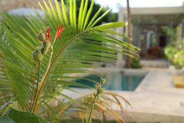 تختخواب و صبحانه Nuik Casa Tropical
