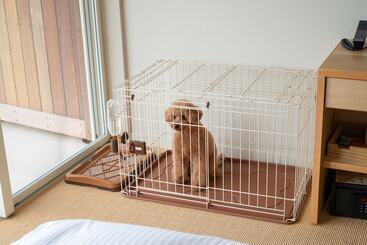 Kamome Slow Hotel The Compact
