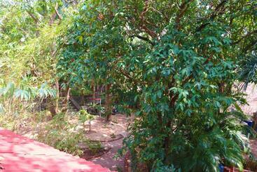 پانسیون Casa Kep