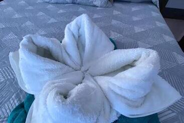 تختخواب و صبحانه Twin Palms Lodge