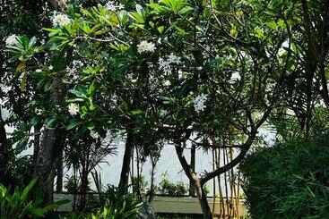 Cherai Lake Resort