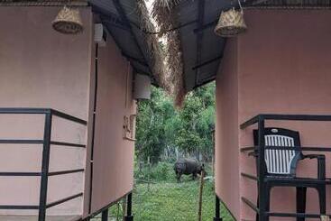 پانسیون Bamby Chilling House Feel The Nature
