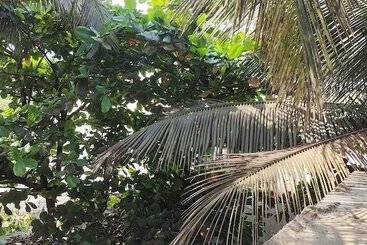 پانسیون Est Hem Guesthouse Arambol