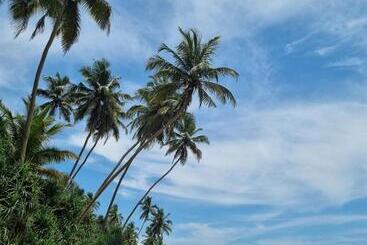 酒店 Dhammika Beach Palace