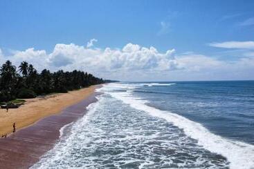酒店 Dhammika Beach Palace