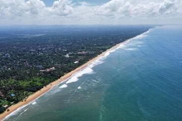 酒店 Dhammika Beach Palace