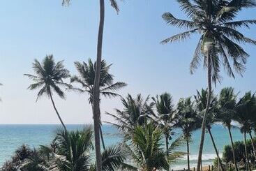 酒店 Dhammika Beach Palace