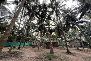 Hostelexp, Gokarna   A Slow Paced Backpackers Community