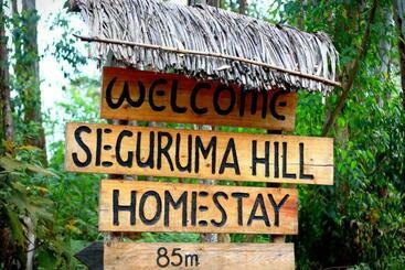 تختخواب و صبحانه Seguruma Hill Homestay