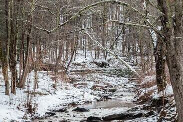 Отель Urban Cowboy Lodge