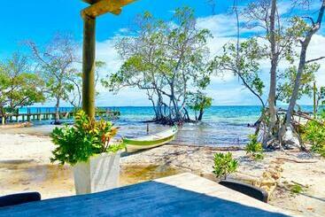 پانسیون Medusa Hostel Isla Tintipan