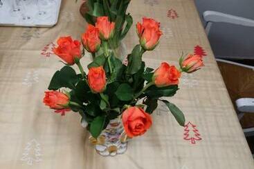 پانسیون Rose