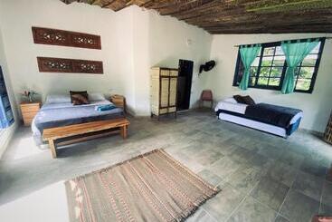 هتل Renasci Palomino