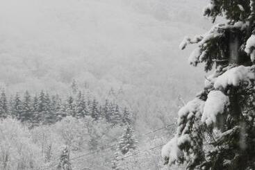 تختخواب و صبحانه Deerhill Inn