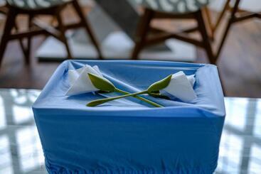 تختخواب و صبحانه Robertsbrook Guest House