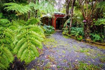 تختخواب و صبحانه Volcano Mist Cottage