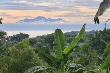 Palm Springs Bali Dive Resort