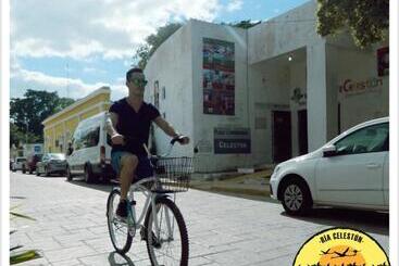 هتل Cabañas Camping Ria Celestun