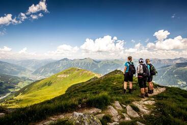 هتل De L Europe Gastein