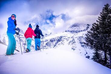 هتل De L Europe Gastein