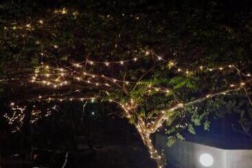 هتل Nettle Trees Farm Stay