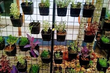 هتل Nettle Trees Farm Stay