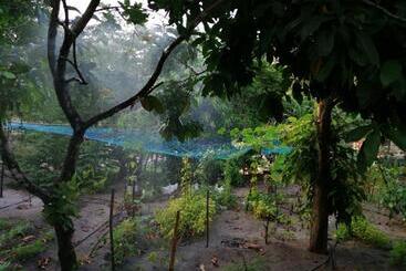 هتل Nettle Trees Farm Stay