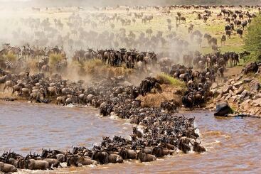 هتل Mara Intrepids Tented Camp