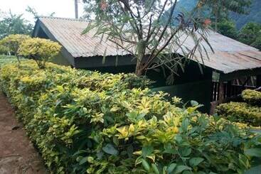 هتل Bwindi View Lodge & Camp Site