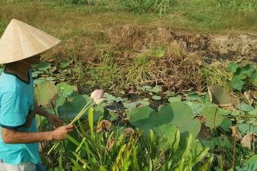 هتل Coco Happy Farmstay