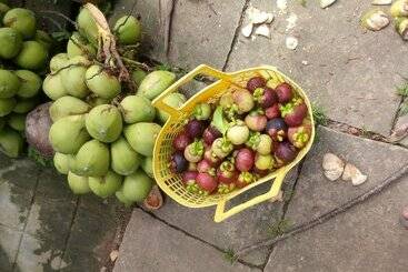 هتل Coco Happy Farmstay