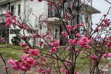 هتل Moonstone Bed And Breakfast
