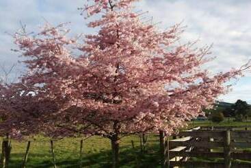 هتل Orchard View Farmstay Retreat
