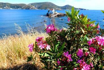 Papafotis Apartments & Suites - Leros