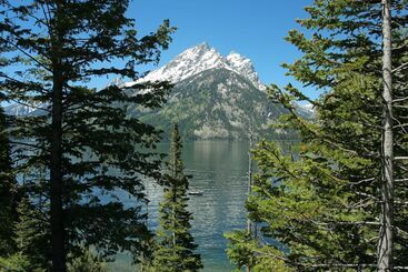 هتل Jenny Lake Lodge