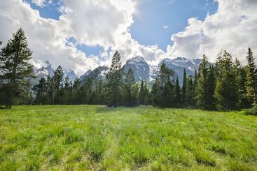 هتل Jenny Lake Lodge