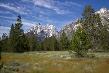 هتل Jenny Lake Lodge