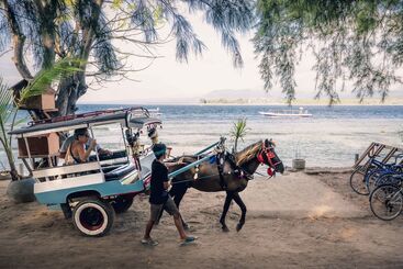 هتل Manta Dive Resort Gili Air