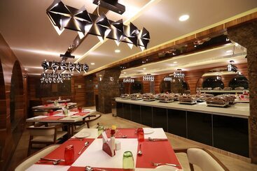 酒店 Park Elanza Chennai