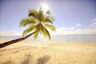 استراحتگاه Tamanu Beach