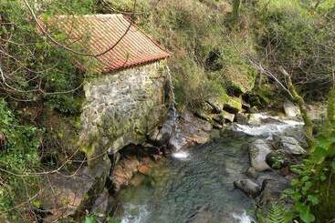 Aldeia Do Pontido