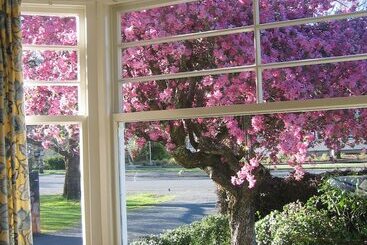 تختخواب و صبحانه Cheltenham House