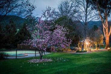 Bright Mystic Valley