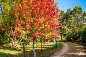 Bright Mystic Valley